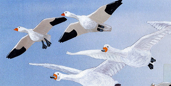 geese_collage